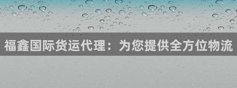 尊龙凯时出款：福鑫国际货运代理：为您提供全方位物流