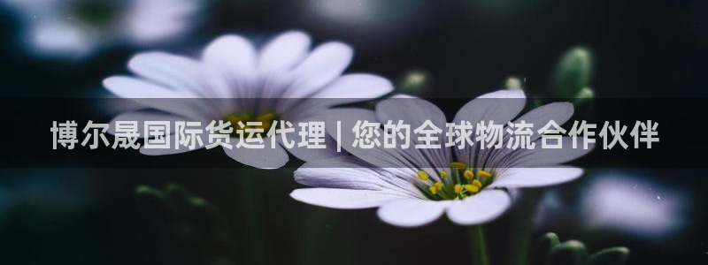 尊龙凯时 人生就是搏!平台：博尔晟国际货运代理 | 您的