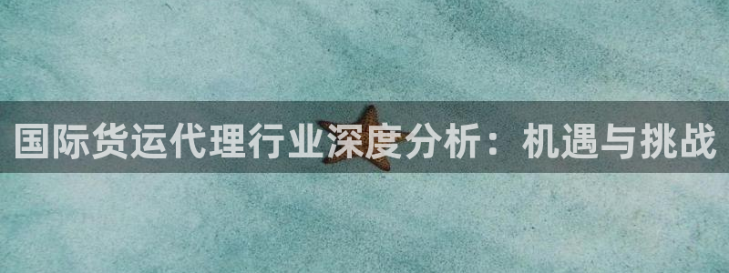 尊龙d88ag旗舰厅：国际货运代理行业深度分析：机遇与挑