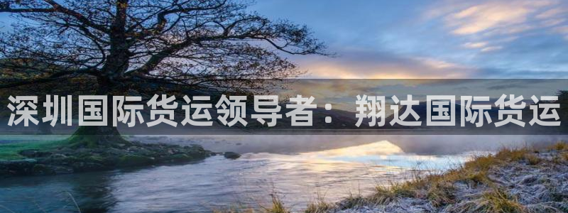 尊龙凯时新闻：深圳国际货运领导者：翔达国际货运