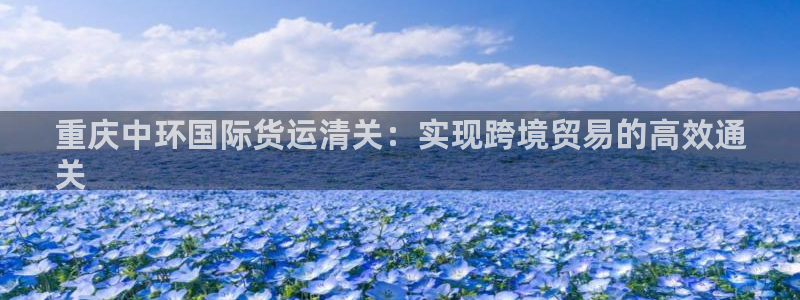 尊龙凯时怎么注销账号：重庆中环国际货运清关：实现跨境贸易