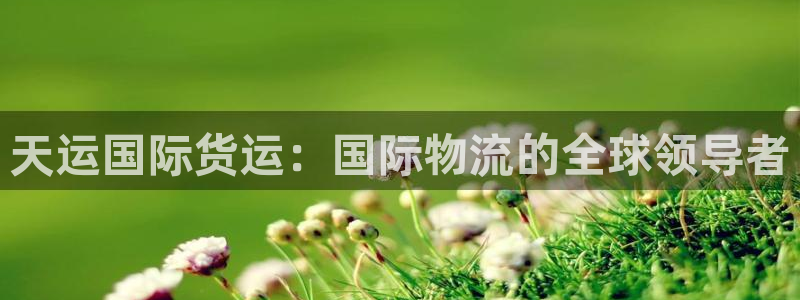 尊龙人生就是博D88：天运国际货运：国际物流的全球领导者