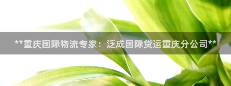 尊龙500价格：**重庆国际物流专家：泛成国际货运重庆分