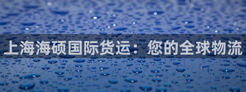 尊龙凯时线下赌场：上海海硕国际货运：您的全球物流