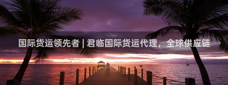 尊龙人生就是博登录网址下载：国际货运领先者 | 君临国际