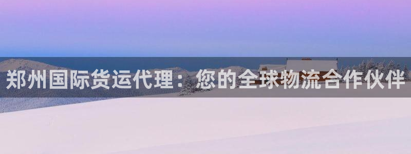 尊龙官方身高：郑州国际货运代理：您的全球物流合作伙伴