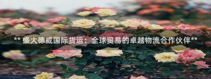 尊龙新版官网网页版：** 盛大德威国际货运：全球贸易的卓