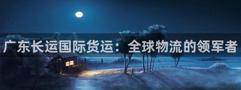 尊龙王t400：广东长运国际货运：全球物流的领军者