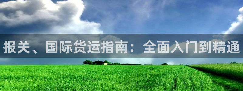 尊龙人生就是博：报关、国际货运指南：全面入门到精通