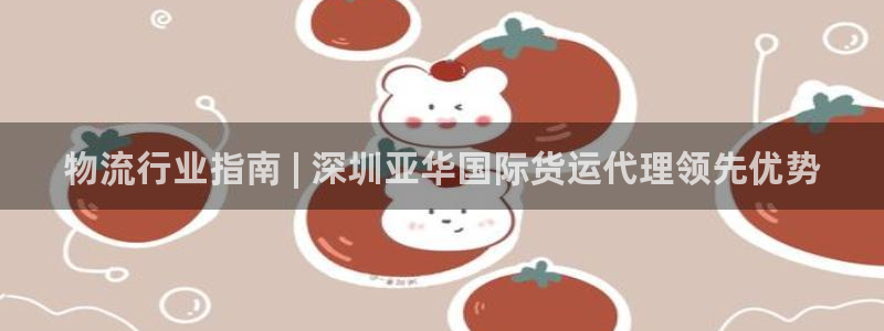 尊龙凯时取钱很慢：物流行业指南 | 深圳亚华国际货运代理