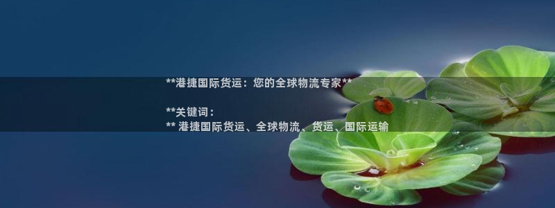 尊龙人生就是博官方官网：**港捷国际货运：您的全球物流专