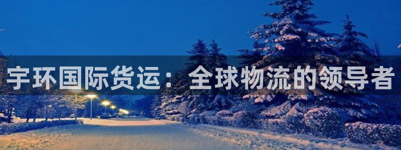 尊龙人生就是博l：宇环国际货运：全球物流的领导者