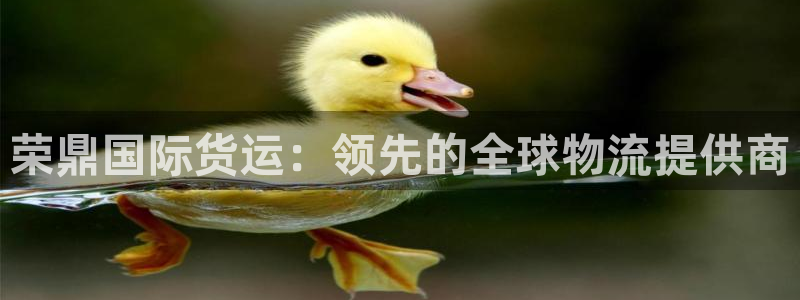 尊龙网站人生就是博：荣鼎国际货运：领先的全球物流提供商