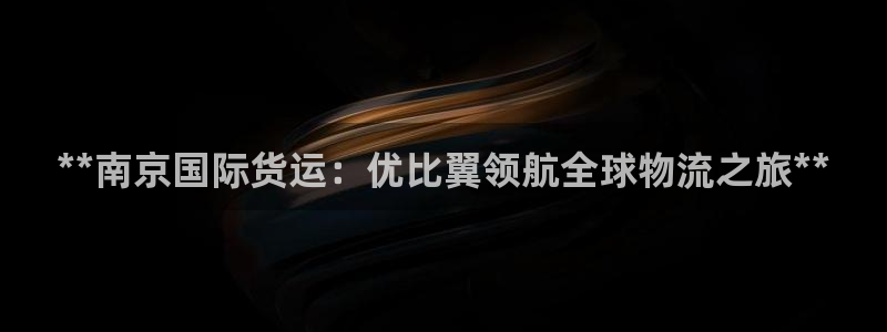尊龙凯时提款冻卡吗：**南京国际货运：优比翼领航全球物流