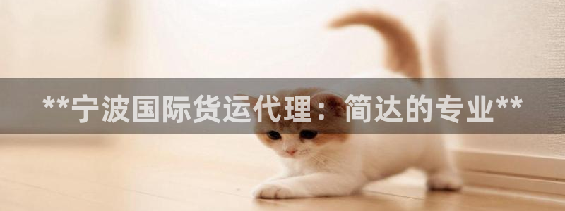 尊龙凯时取钱很慢：**宁波国际货运代理：简达的专业**