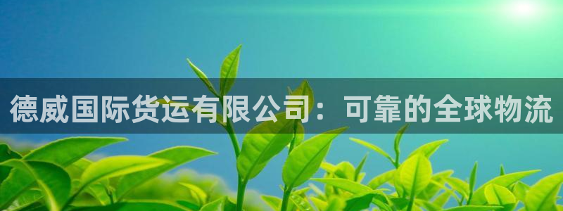 尊龙ag旗舰厅登录 租车app下载：德威国际货运有限公司