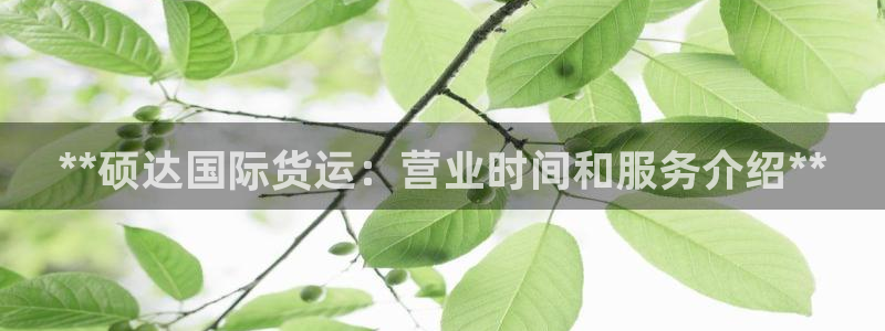 尊龙人生就是博i可靠吗：**硕达国际货运：营业时间和服务