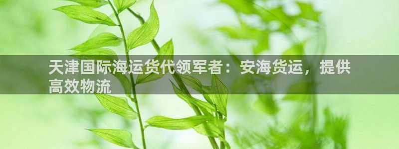 尊龙现金d88：天津国际海运货代领军者：安海货运，提供
