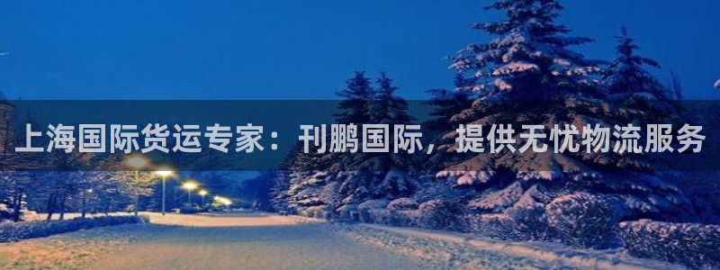 尊龙人生就是搏：上海国际货运专家：刊鹏国际，提供无忧物流