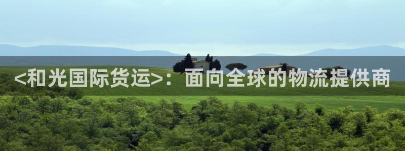 尊龙 贴吧：<和光国际货运>：面向全球的物流提供商