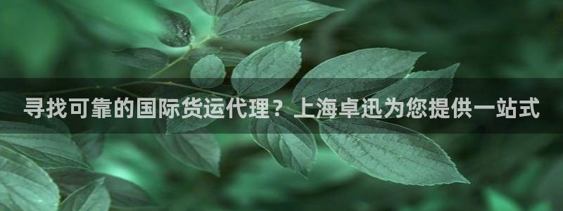 尊龙用现金一下可靠送38元：寻找可靠的国际货运代理？上海