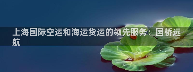 尊龙凯时人生就是搏技术实力：上海国际空运和海运货运的领先