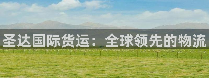 尊龙人生就是博电脑版：圣达国际货运：全球领先的物流