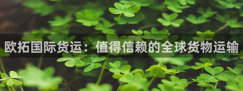 尊龙旗舰厅：欧拓国际货运：值得信赖的全球货物运输