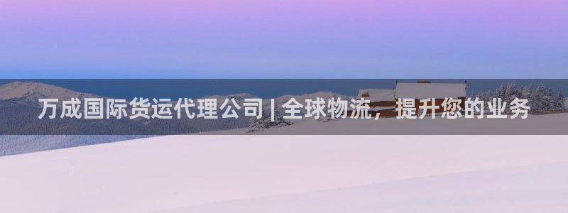 尊龙凯时人生就是搏客户：万成国际货运代理公司 | 全球物