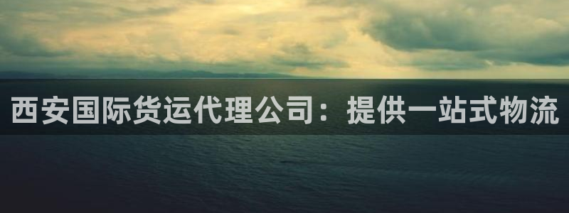 尊龙凯时人生就是搏!平台：西安国际货运代理公司：提供一站