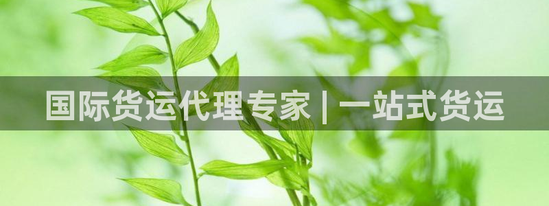 尊龙官网网页版：国际货运代理专家 | 一站式货运