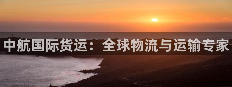 尊龙人生就是博下载：中航国际货运：全球物流与运输专家