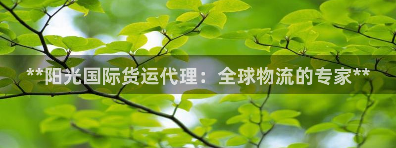 尊龙凯时有封银行卡的吗：**阳光国际货运代理：全球物流的