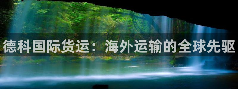尊龙凯时老板：德科国际货运：海外运输的全球先驱