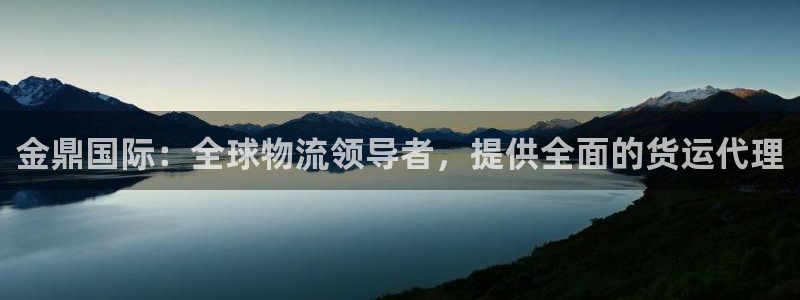 尊龙凯时最新平台登陆：金鼎国际：全球物流领导者，提供全面