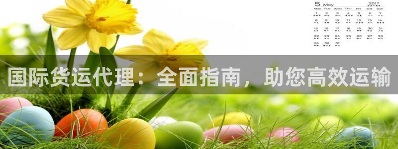 尊龙旗舰厅app：国际货运代理：全面指南，助您高效运输