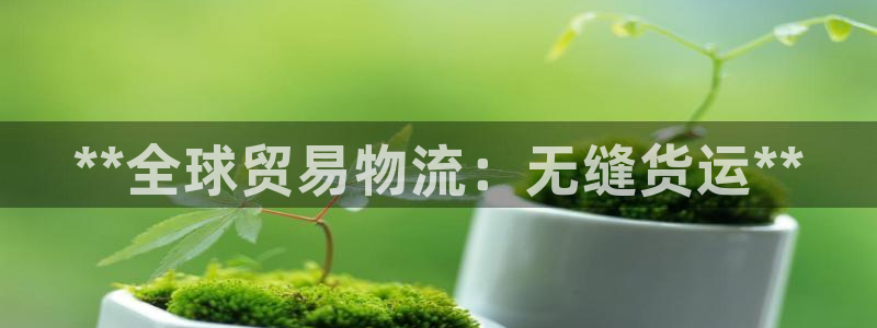 尊龙凯时登陆网址：**全球贸易物流：无缝货运**