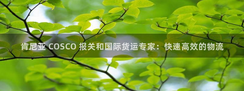 尊龙凯时-人生就是博中国官网：肯尼亚 COSCO 报关和