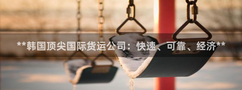 尊龙凯时发展历程：**韩国顶尖国际货运公司：快速、可靠、