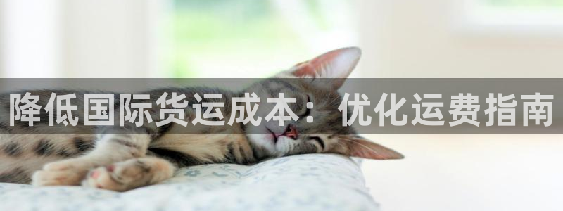尊龙新版手机app下载：降低国际货运成本：优化运费指南