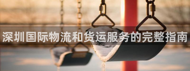 尊龙凯时企业文化：深圳国际物流和货运服务的完整指南