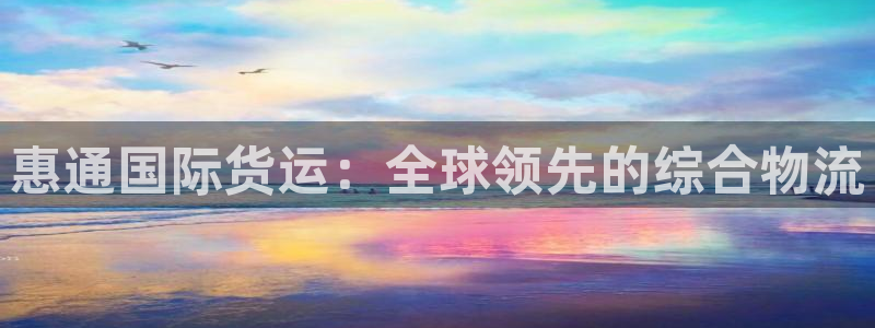 尊龙网站注册网：惠通国际货运：全球领先的综合物流