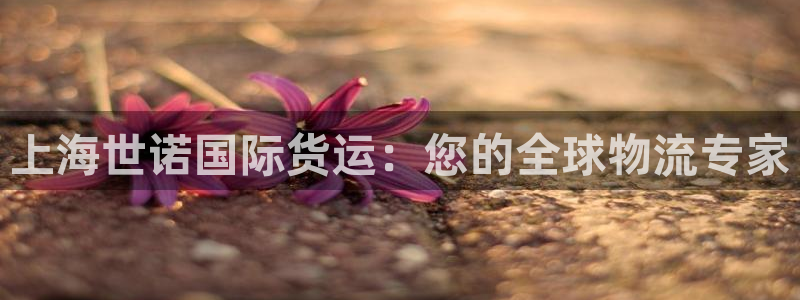 尊龙凯时电竞注册：上海世诺国际货运：您的全球物流专家