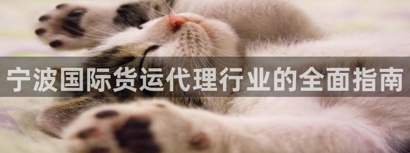 尊龙人生就是博一下首页：宁波国际货运代理行业的全面指南