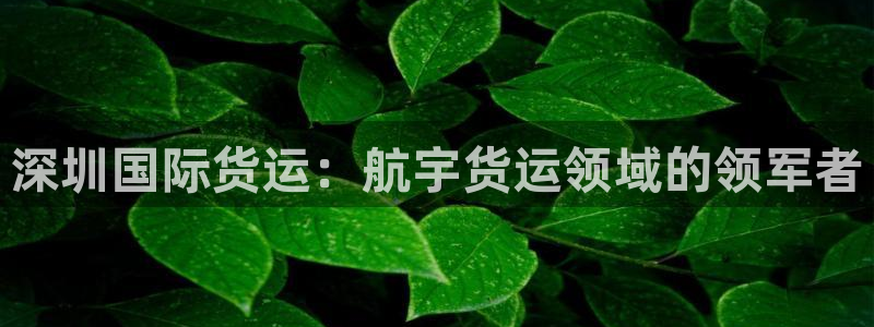 尊龙官方网站：深圳国际货运：航宇货运领域的领军者