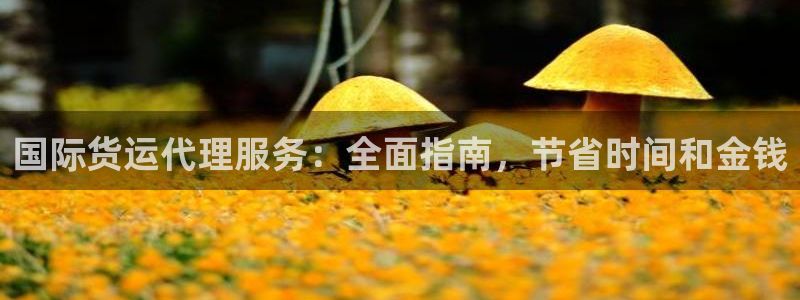 尊龙人生就是博官方官网：国际货运代理服务：全面指南，节省