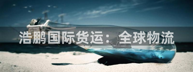 尊龙凯时产品种类：浩鹏国际货运：全球物流