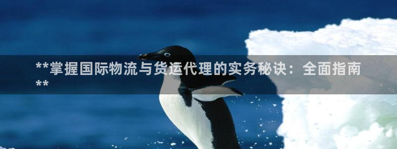 尊龙凯时人生就是搏z6com：**掌握国际物流与货运代理