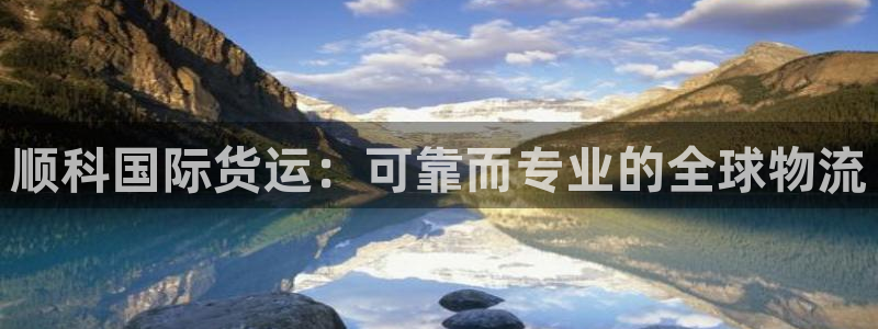 尊龙登录地址：顺科国际货运：可靠而专业的全球物流