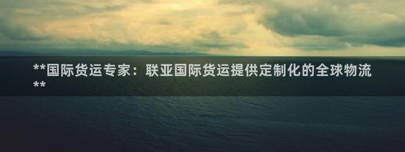 尊龙凯时官方网站下载：**国际货运专家：联亚国际货运提供